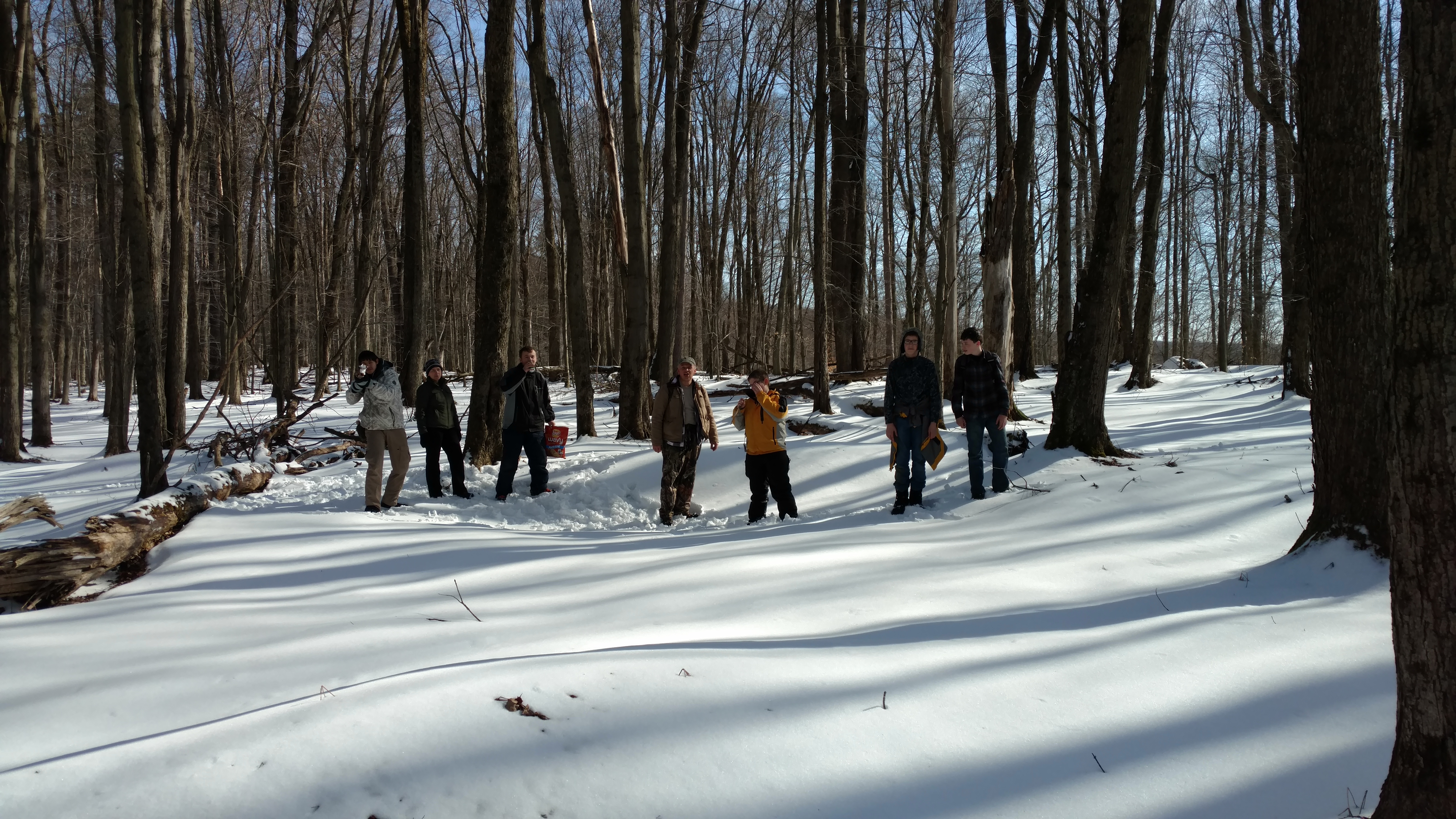 Patrick's Orienteering after the cabinning