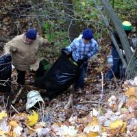 Volunteers & Boy Scouts bagging garbage